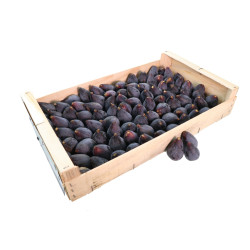 FIGUE FRAICHE NOIRE KG